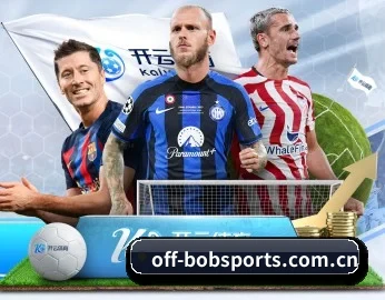 bob体育入口 APP - Bsports
