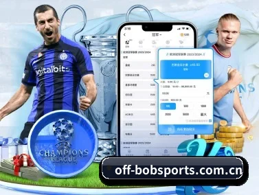 bob体育入口 APP(Bsports)